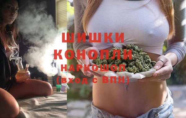 бошки Лагань