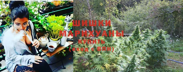 винт Ладушкин