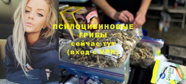 бошки Лагань