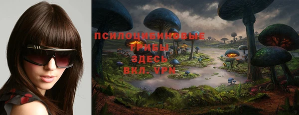 бошки Лагань