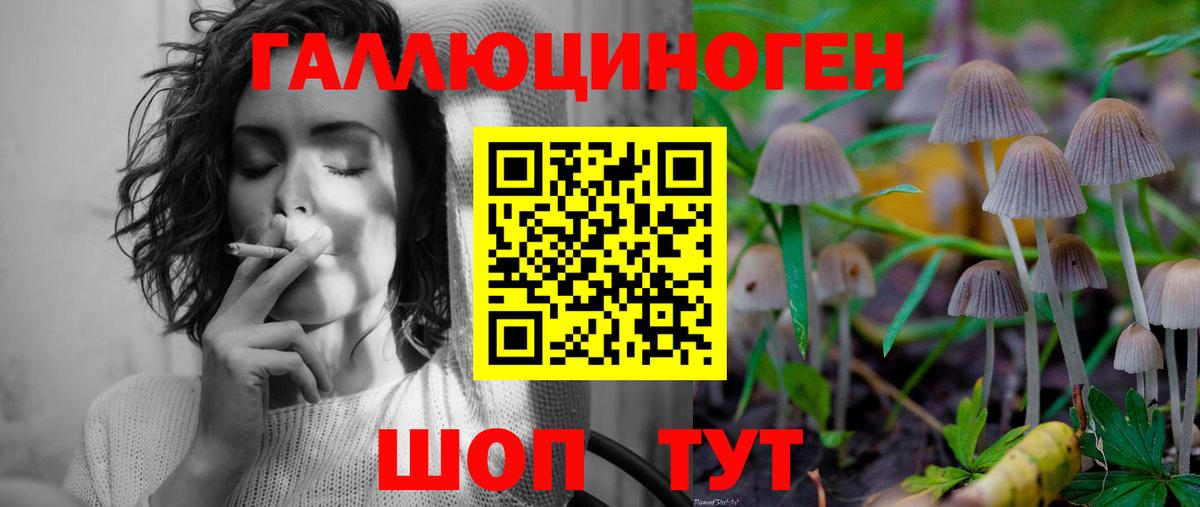Рязань  Псилоцибиновые грибы MAGIC MUSHROOMS  Вход с VPN  Галлюциногенные грибы Magic Shrooms 