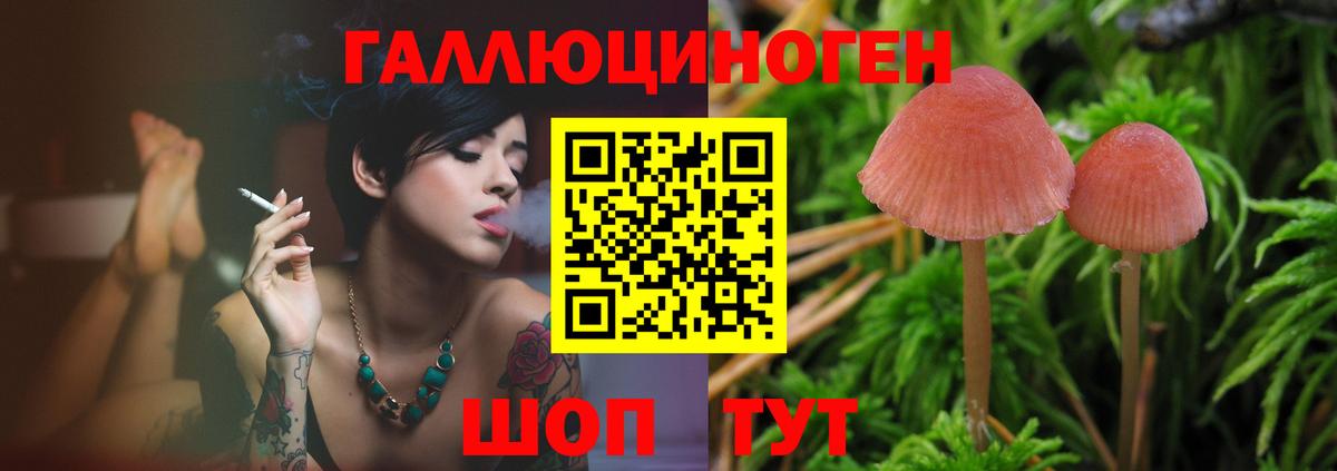 Галлюциногенные грибы MAGIC MUSHROOMS Рязань